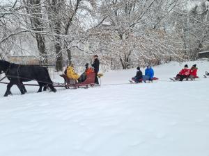 IMG-20210218-WA0001