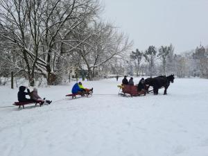 IMG-20210218-WA0005