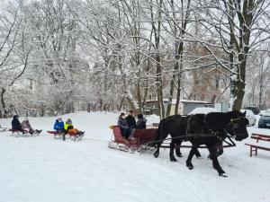 IMG-20210218-WA0007