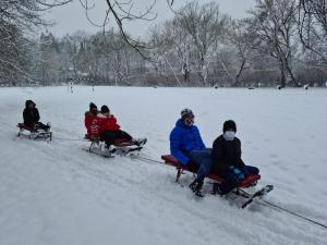 IMG-20210218-WA0015