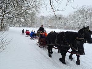 IMG-20210218-WA0016