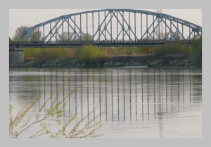 P1190445   