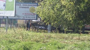 Sprzątanie świata